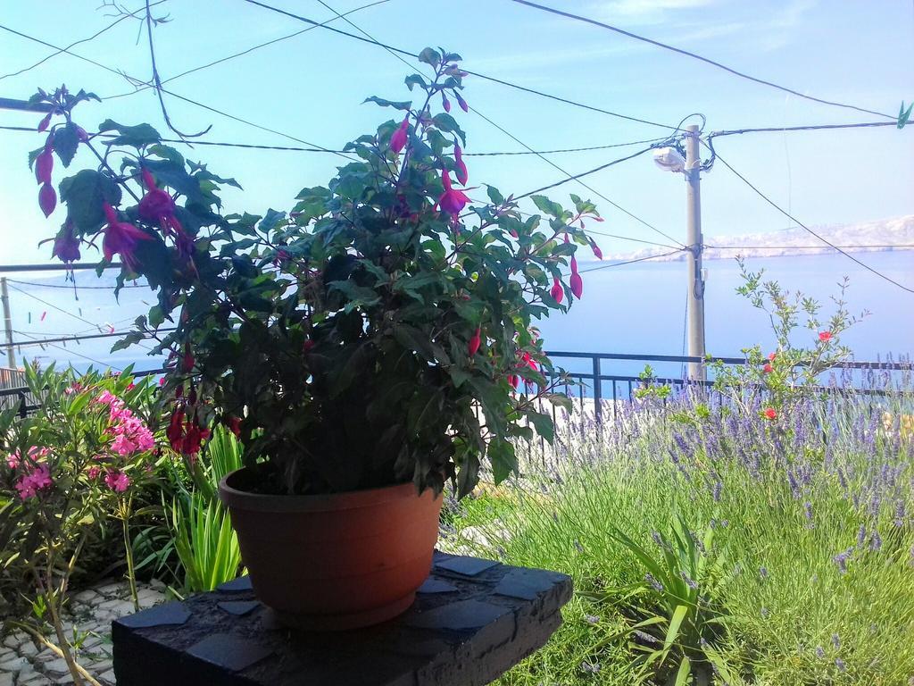 Apartment Little Princess Dora Senj  Buitenkant foto