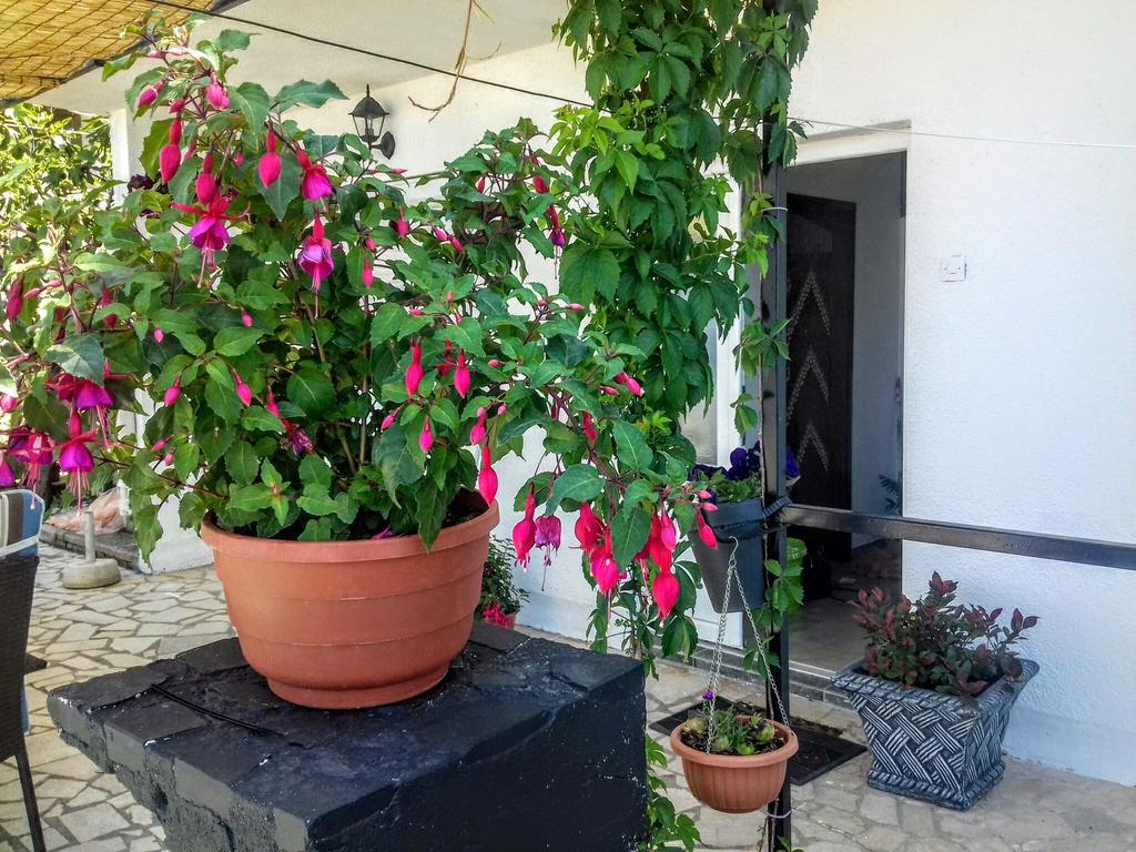 Apartment Little Princess Dora Senj  Buitenkant foto